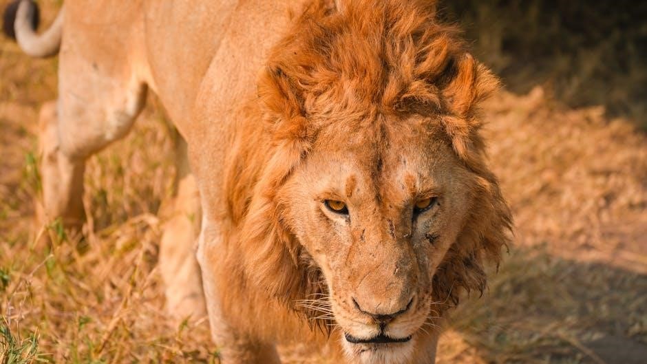 the alpha king’s human mate clark and griffin pdf