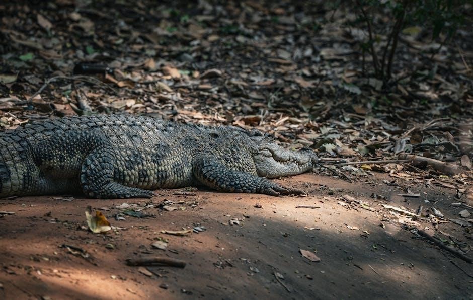 patons knitting patterns free download pdf