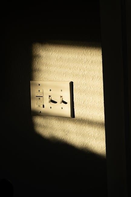 heat n glo wall switch instructions